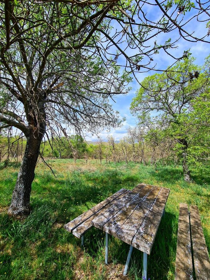 Acogedora Y Romantica Casita En La Sierra Garganta De Los Montes Extérieur photo