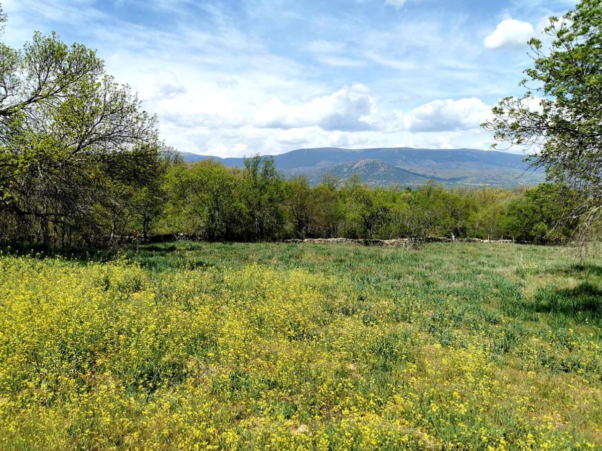 Acogedora Y Romantica Casita En La Sierra Garganta De Los Montes Extérieur photo