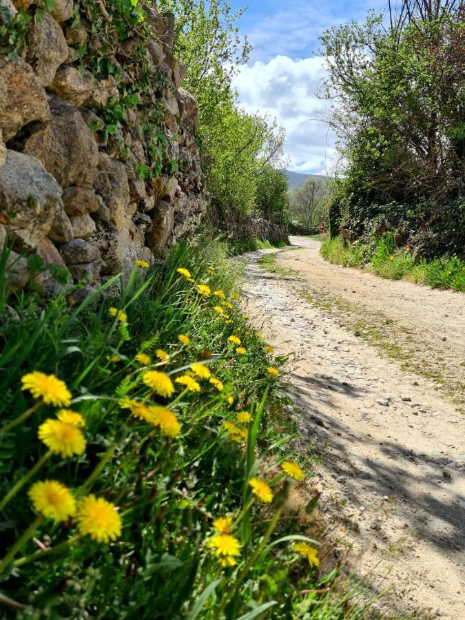 Acogedora Y Romantica Casita En La Sierra Garganta De Los Montes Extérieur photo